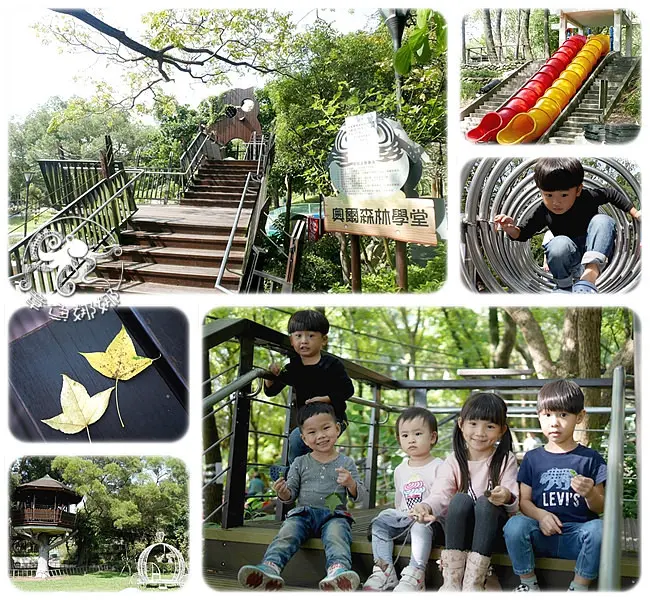 桃園親子景點【奧爾森林學堂】貓頭鷹帶你走進魔法森林與樹屋，大自然森林步道！大片樹蔭下野餐、烤肉超棒der！還有兒童遊戲區、雙管溜滑梯！