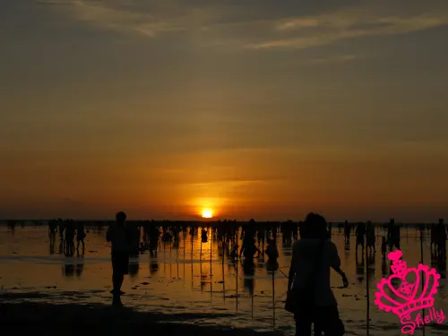 ◆台中◆ 夕陽無限好的高美溼地