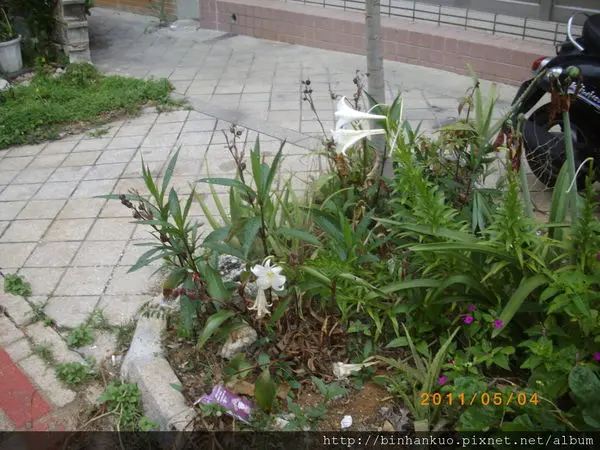 遊記----張雨生故居 and 潘安邦生活館(澎湖眷村文化園區)(1)