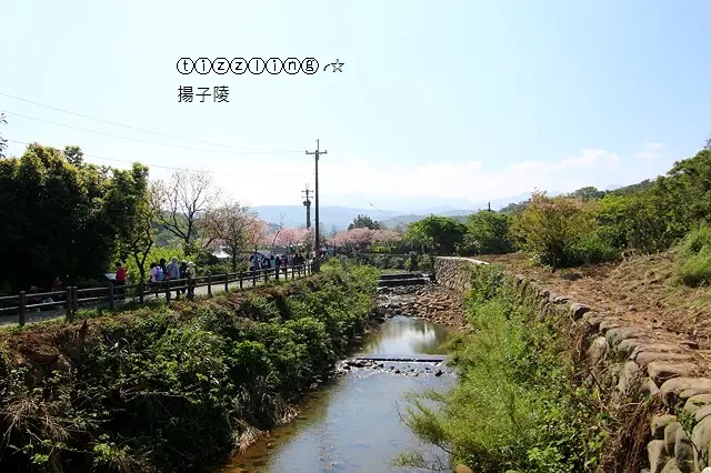 邂逅2018三芝三生步道賞櫻趣&淡水。無極天元宮夜拍，都是一堆手電筒在搖搖～