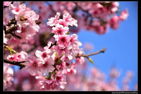 20160405三芝三生步道