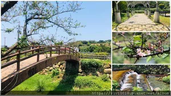 圓圓家出去玩-<新北三芝>三生步道散步去，櫻花、杜鵑花、桐花，不同季節有不同的美麗