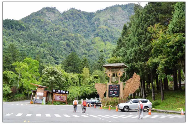 溪頭森林遊樂區