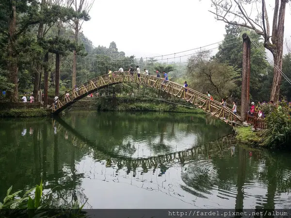溪頭森林遊樂區~中部避暑好地方