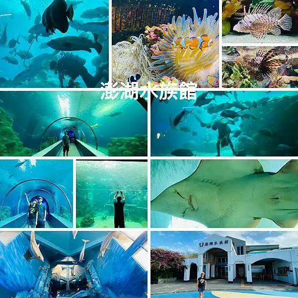 澎湖親子景點|澎湖水族館|全新海底隧道|超精彩真人餵食秀|療癒微笑魟魚跟你打招呼|澎湖室內美拍景點