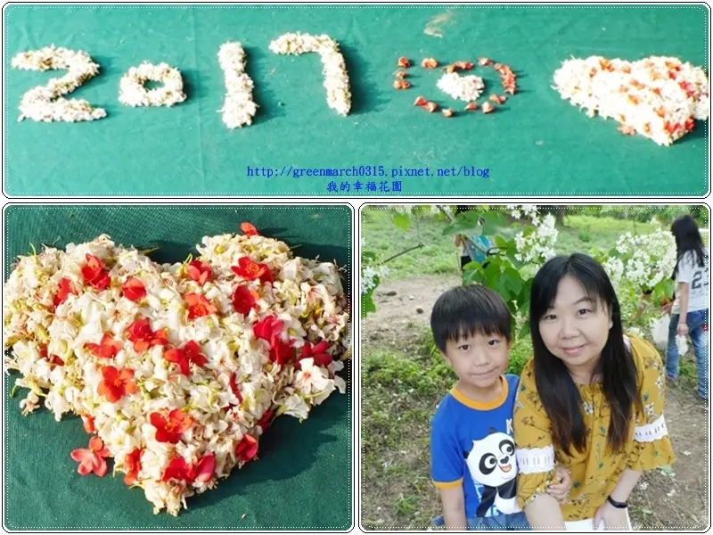 ◆【雲林賞桐花景點】2017雲林桐花祭登場，浪漫賞桐遊雲趣！（4/30拍攝） 