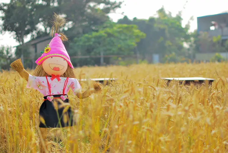 Smile . 微幸福 * 大雅小麥文化