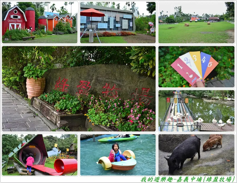 合法賽鵝的牧場-嘉義中埔{綠盈牧場}!!