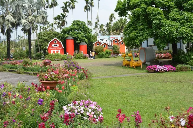 [嘉義中埔]溜小孩好去處-綠盈牧場~賽鵝超有趣~