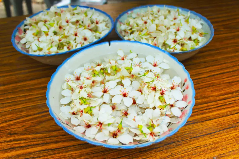 【彰化賞桐景點】來去芬園挑水古道賞花花(串花環教學)，七個賞花景點免費賞花路線。