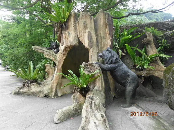 木柵動物園 這天真的超累的