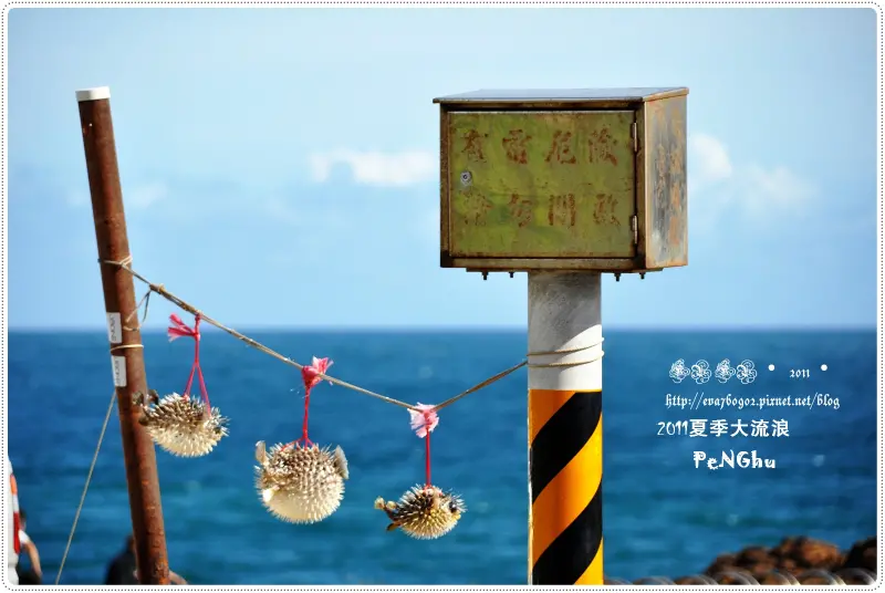 【夏季大流浪】澎湖‧南環風櫃‧深藍海濤 →風櫃藥膳蛋好香←