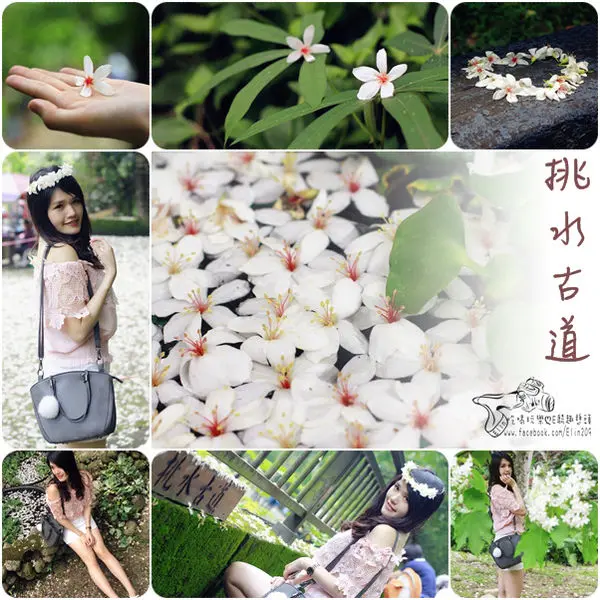 【彰化】水中桐好美！挑水古道油桐花季～化身一日桐花公主！