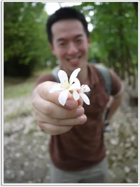 桃園 味全埔心牧場 賞桐花～滿天落下的四月雪