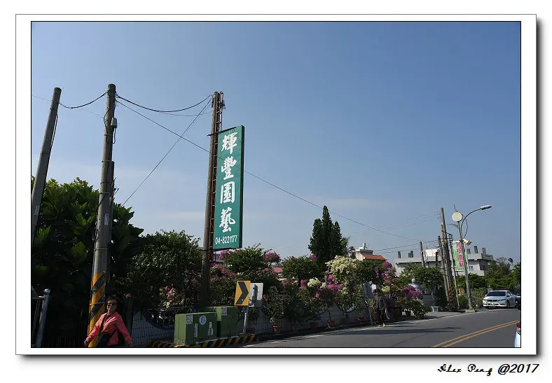 彰化縣-田尾鄉-輝豐園藝九重葛之家+員林市-謝米糕