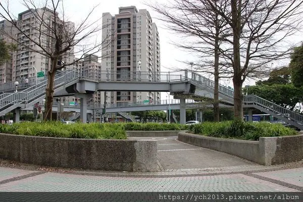 林口賞櫻／林口運動公園與觀音寺