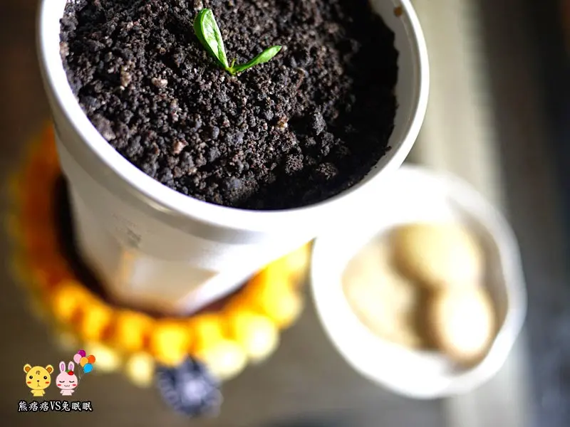 
【台南咖啡廳】小巷裡的拾壹號菜單之oreo巧克力鮮奶茶
