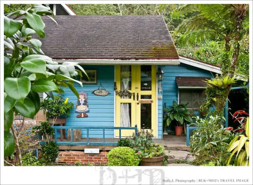 南庄│山芙蓉咖啡‧優美的山中花園