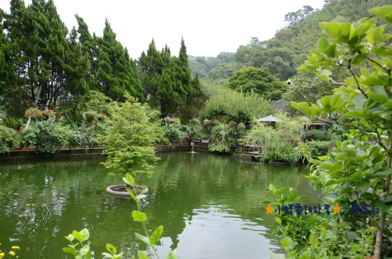 ※寵物友善餐廳※苗栗南庄山芙蓉咖啡★小精靈胡扯蛋★2016.6.10