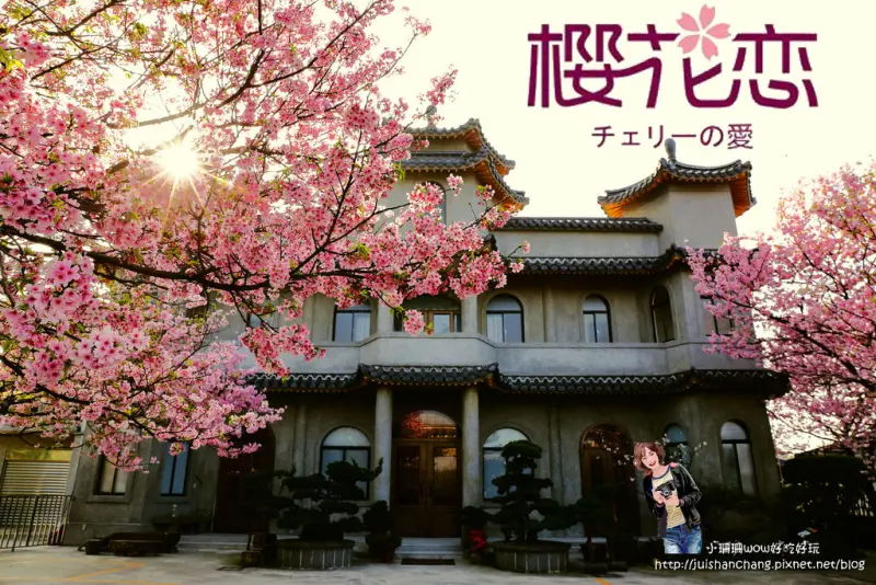 【遊║台北陽明山】東方寺～「櫻」姿煥發！吉野櫻、紫藤花盛開中，把握最後賞櫻時機！（105.4.7花況）　