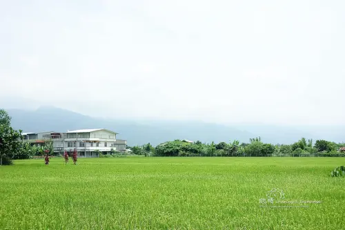 宜蘭礁溪民宿+波卡拉度假會館，躺在床上打開窗簾就是綠油油的稻田！