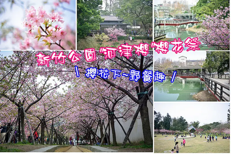 【新竹遊記】新竹公園河津櫻櫻花祭/玻璃博物館/麗池公園/新竹賞櫻/新竹景點