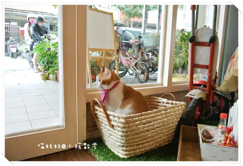 ＊小孩散步＊　遇見熊貓君與tata貓店長