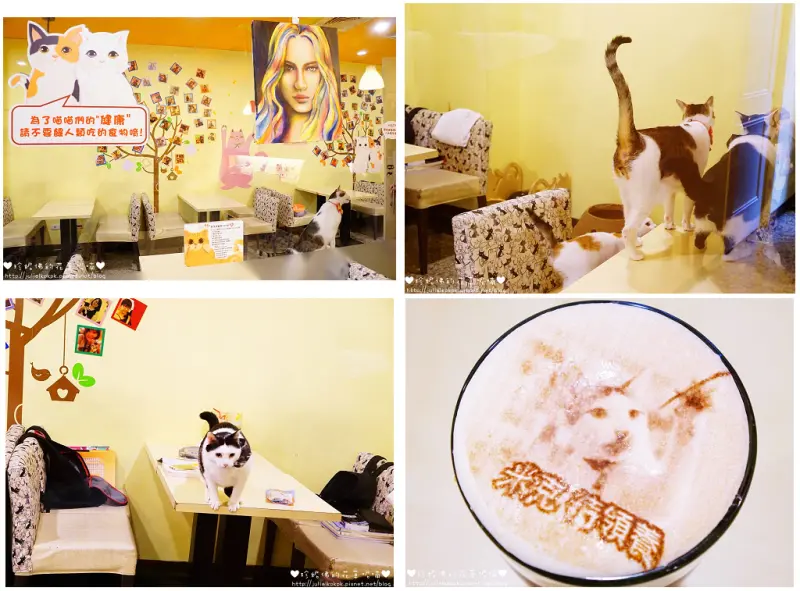 【新北-三重區】野喵中途咖啡