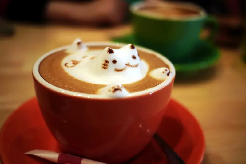 【台中】療癒系立體貓咖啡~貓 ● 旅行 咖啡輕食館