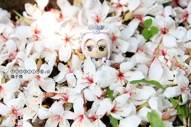 2020桃園大溪十一指古道五月桐花開&桃園龍潭三坑老街輕旅行～