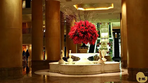 【食記】台北君悅大飯店《Ziga Zaga》美國肋眼牛排雙人套餐        
      