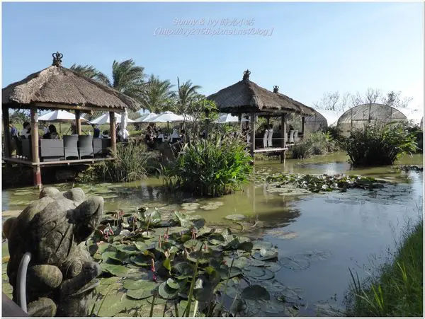 【桃園新屋食記】擁有峇里島風情的莫內咖啡