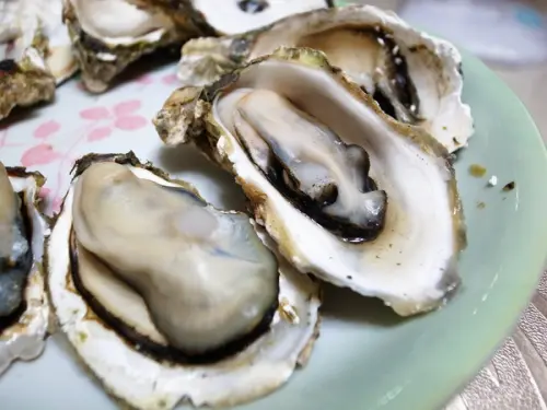 <宅配> 絕對新鮮帶殼牡蠣～澎湖郭家賜福