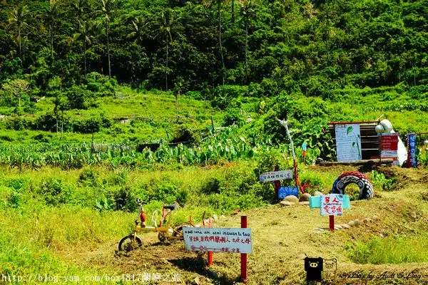 【跳島。蘭嶼】蘭嶼芋人。芋森林體驗公園