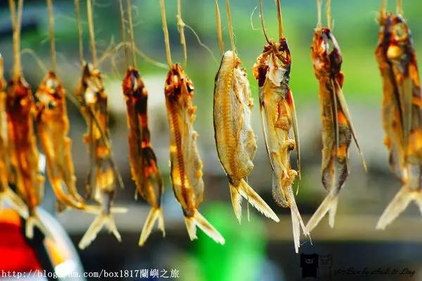 【跳島。蘭嶼】曬飛魚。當飛魚乾遇到拼板舟
