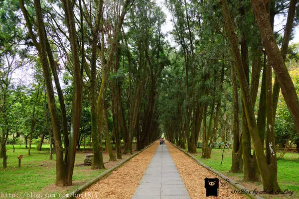 【南投。竹山】下坪林熱帶植物園。深不見底肖楠步道。巨型傘生態教室。臺灣大學實驗林。林木蒼鬱。綠意盎然
