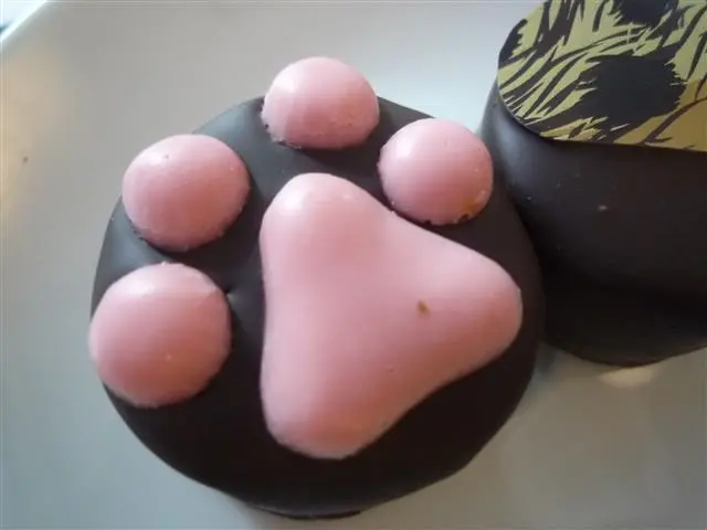 大安森林公園 COCOMAKER可可美克巧克力 單價20元起 容易入門一探手工巧克力的世界