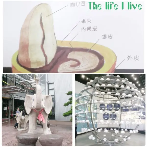 {遊記}{嘉義}太保．品皇咖啡觀光工廠Phcafe-Factory~一窺咖啡二三事