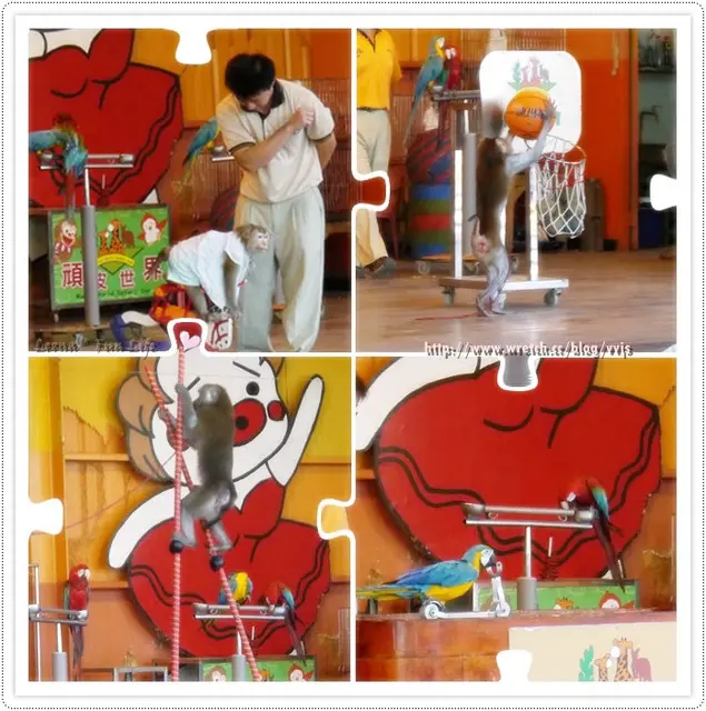 【旅遊】治癒力100%之旅 II 。親近動物的頑皮世界、府城小吃吃不停