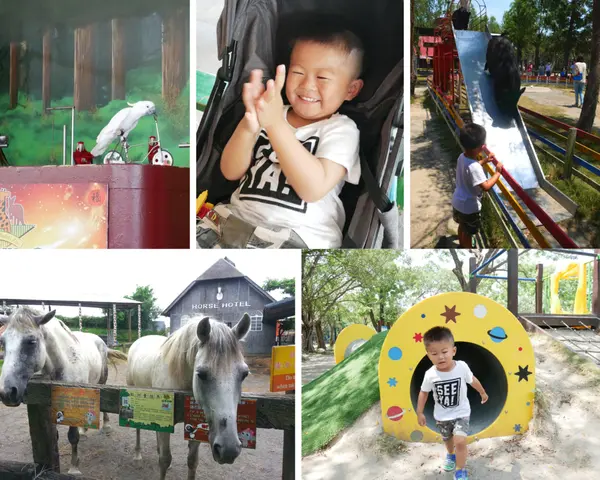 [台南]推開小門就能到動物家作客的動物園，看小豬溜滑梯、金鋼鸚鵡站你肩上合照，還有新穎的兒童遊戲場/頑皮世界/親子景點