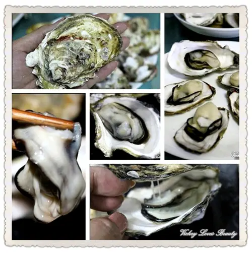 （澎湖名產）碩大肥美的帶殼牡蠣來自澎湖極淨海域～澎湖牡蠣-郭家賜福