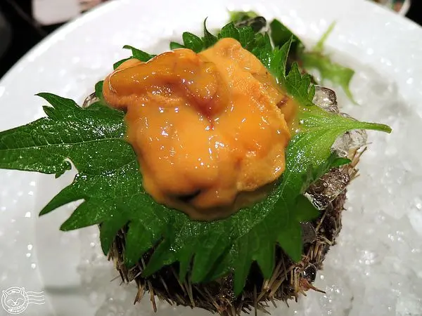 【星羽愛美食-台中】日式裝潢彷彿來到日本，餐點不錯吃但CP值不太高，適合口袋夠深的捧油~大漁迴轉壽司。