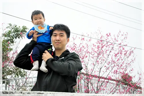 在茶樹與雲霧間享受。『上山閱讀』－南投竹山