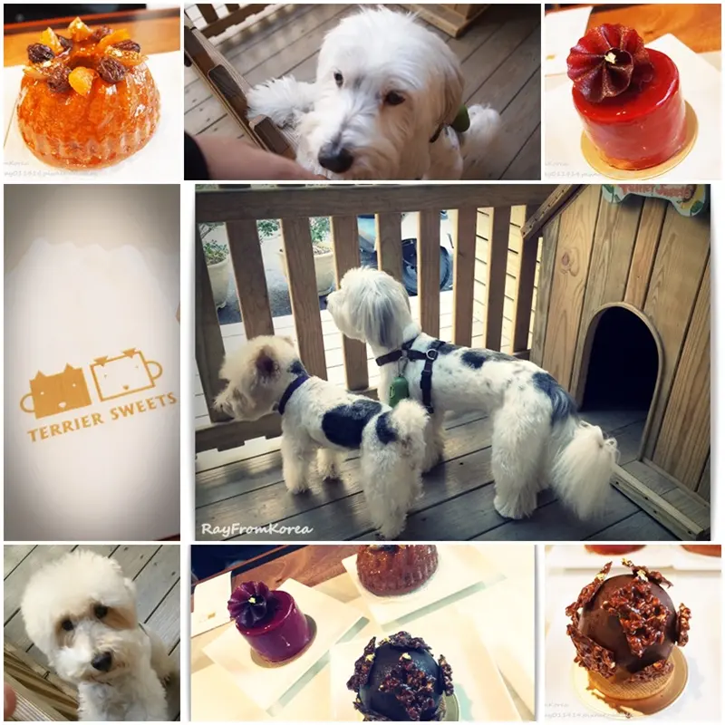 [甜點下午茶]台中西區真的有小梗的好吃甜點店 - 小梗甜點咖啡 Terrier Sweets