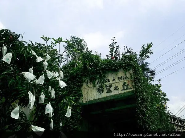 [吃喝]51連假仨人三日行—彰化花壇～希望之丘（蔬食）。