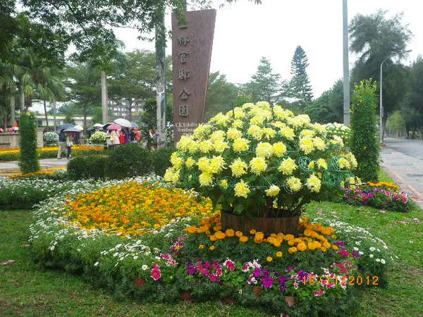 士林官邸【2012 手舞菊蹈】開展                      