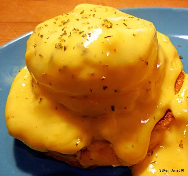 東區早午餐 / 貓咪餐廳 / 下午茶「Toast Chat」 --- 美食、貓咪與好友相聚的幸福時光! 