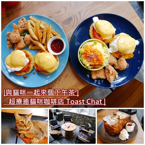 【台北美食】Toast Chat。超萌貓星人陪你一起用餐。天使蝦水波蛋、泡菜豬肉燉飯。下午茶、咖啡。東區不限時間咖啡廳。國父紀念館早午餐