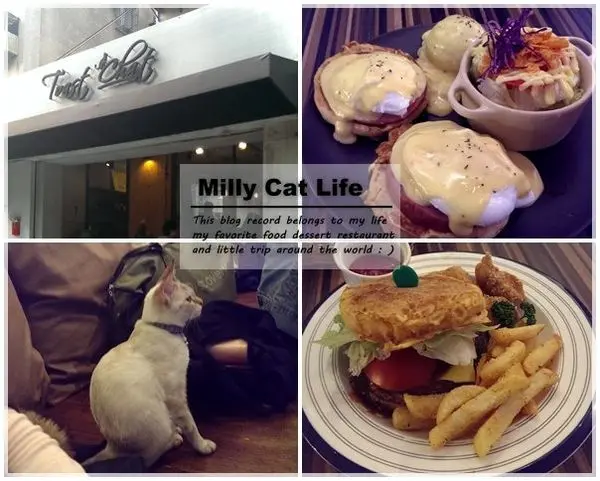 ||喵比食記||-[台北捷運國父紀念館站]-Toast Chat 悠閒午後療鬱系貓咪咖啡廳+MENU