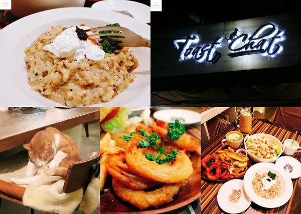 【台北東區】Toast Chat | 隱藏巷弄貓咪餐廳！二訪